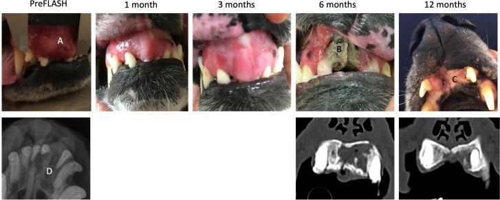 Figure 3