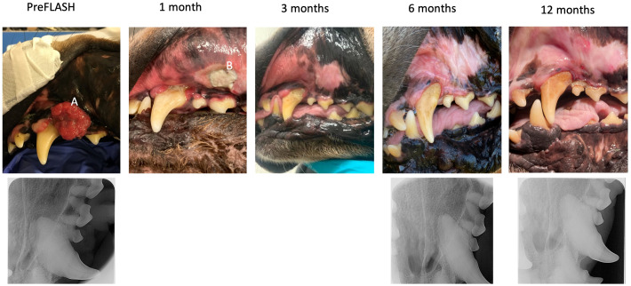 Figure 1