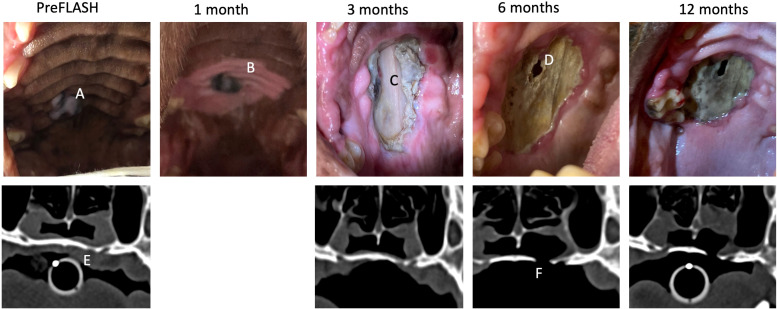 Figure 2