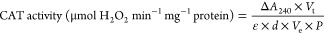 graphic file with name mt5c00300_m005.jpg