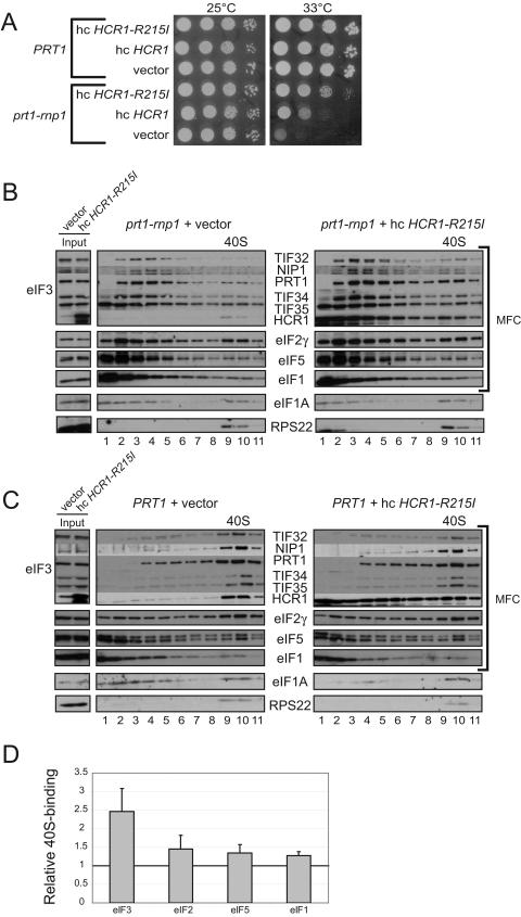 FIG.4.