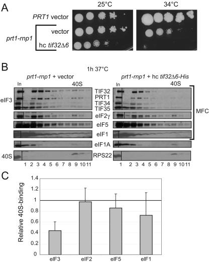 FIG. 5.