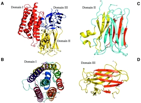 FIG. 2.