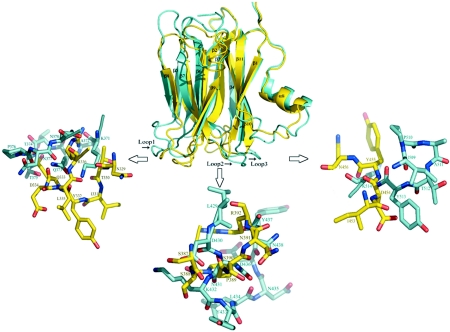 FIG. 8.