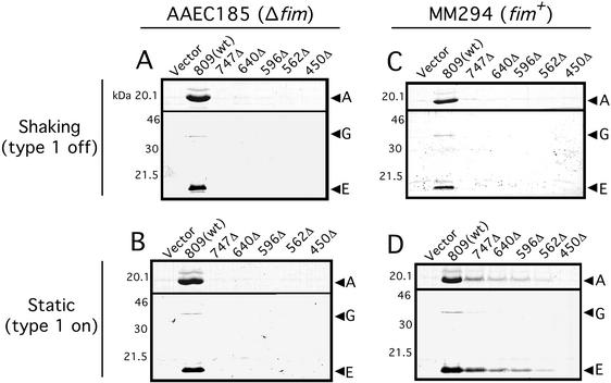 FIG. 7.