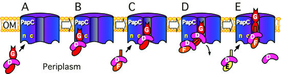 FIG. 8.