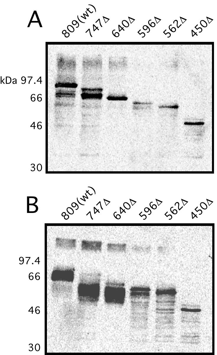 FIG. 5.