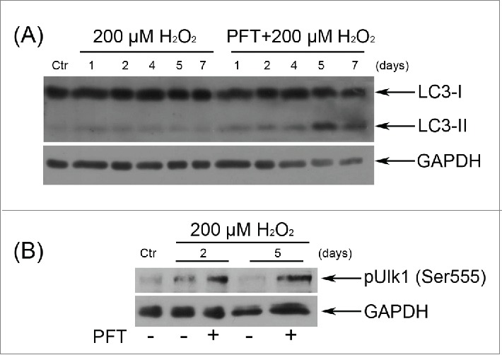 Figure 10.