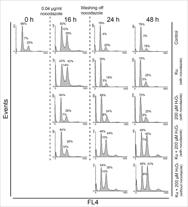 Figure 6.