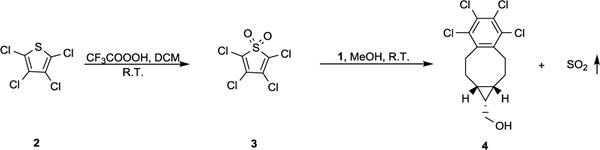 Scheme 2