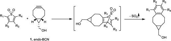 Scheme 1