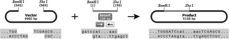 Fig. 1