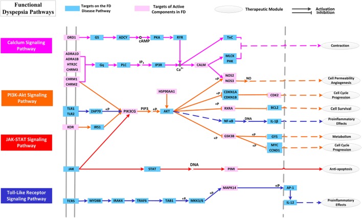 FIGURE 11