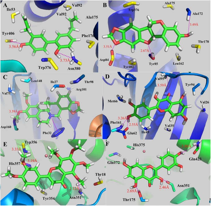 FIGURE 12