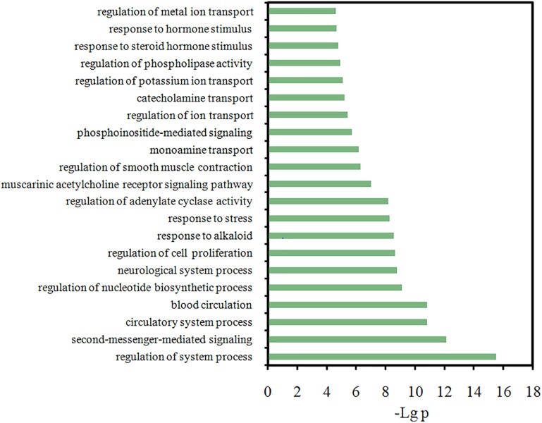 FIGURE 7