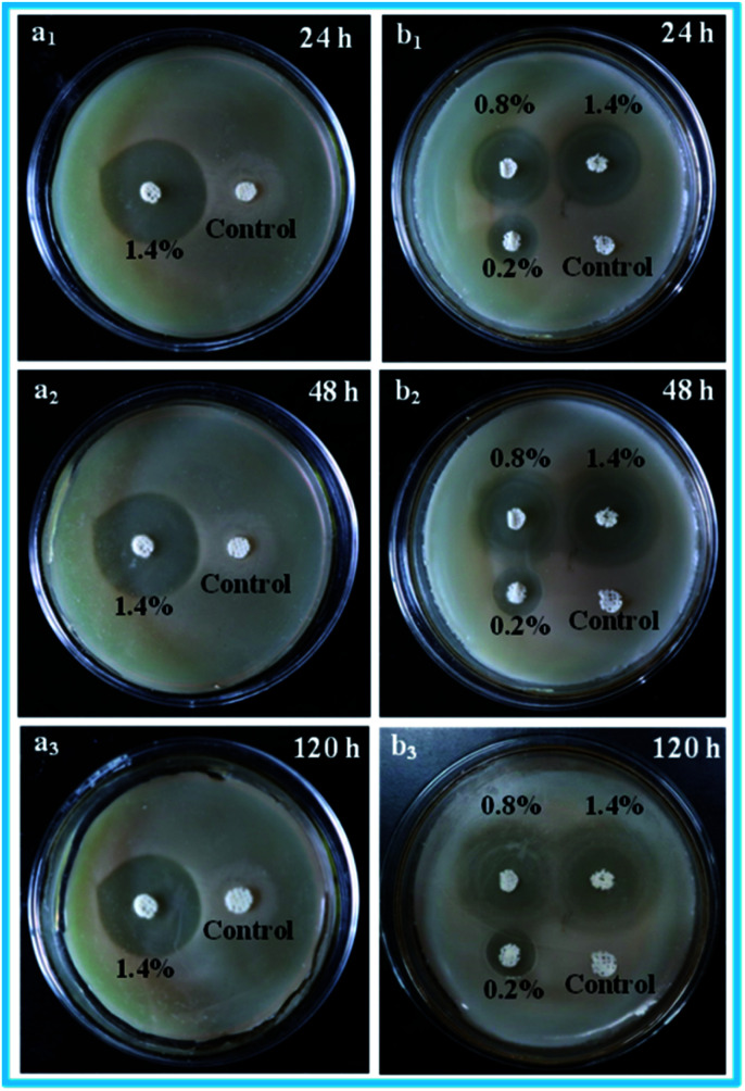 Fig. 9