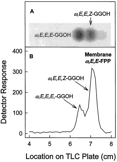 FIG. 6