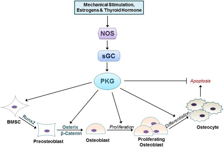 Fig. 2: