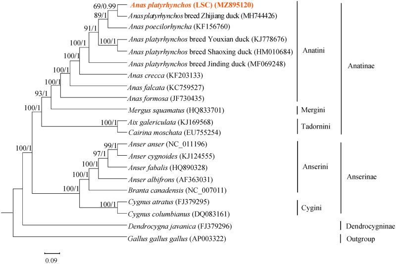 Figure 3.