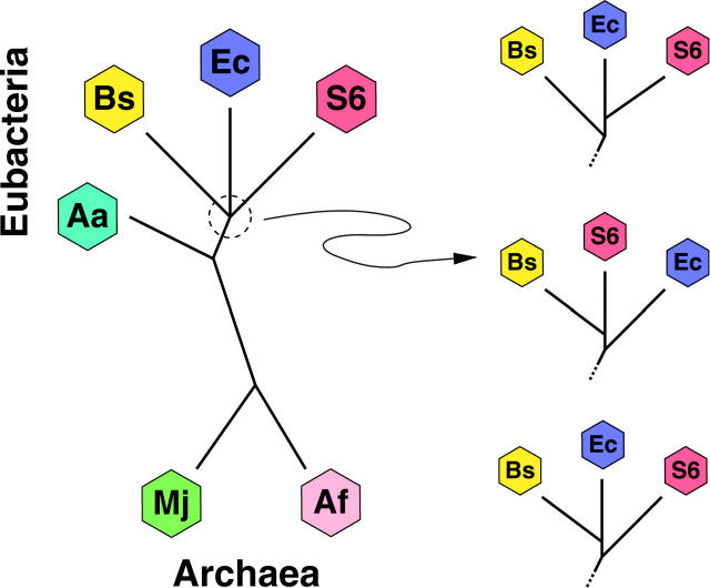 Figure 3.—