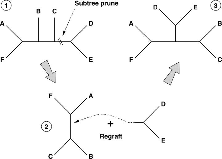 Figure 1.—