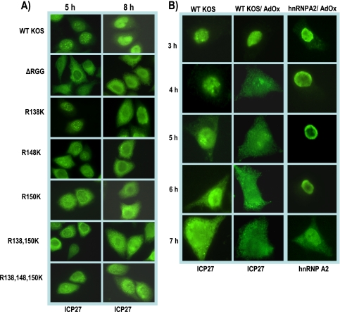 FIG. 10.