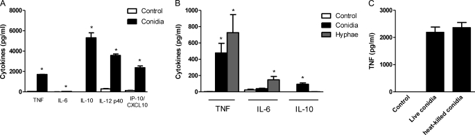 FIGURE 1.