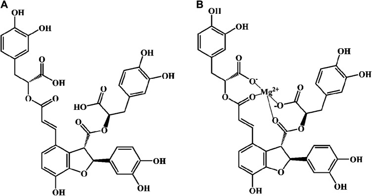 FIGURE 1