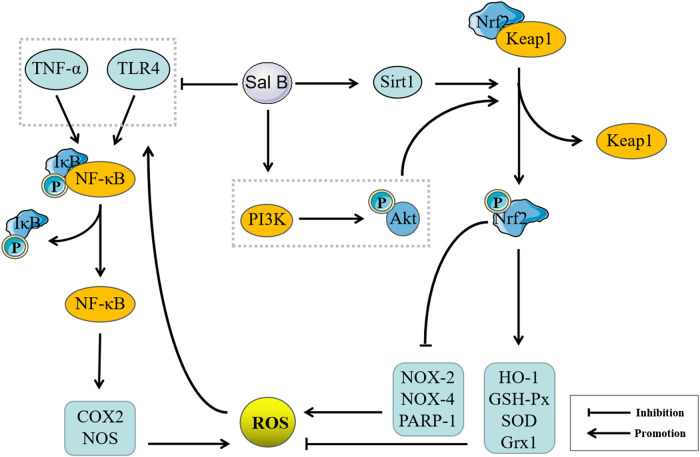 FIGURE 4