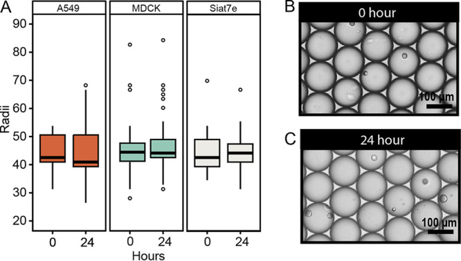 FIG 3