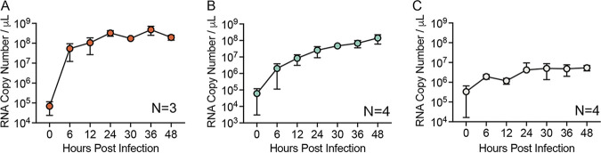 FIG 2