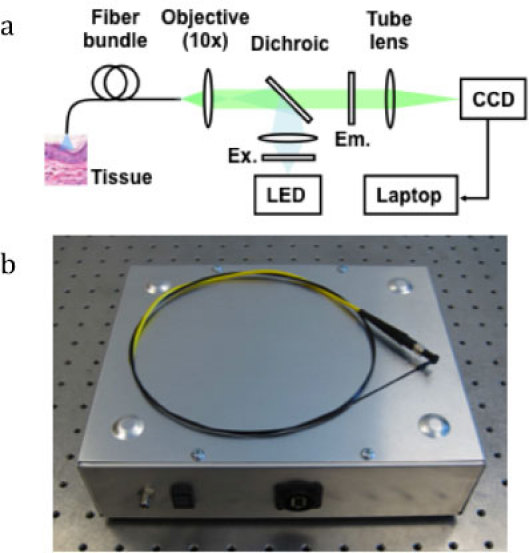 Fig. 1