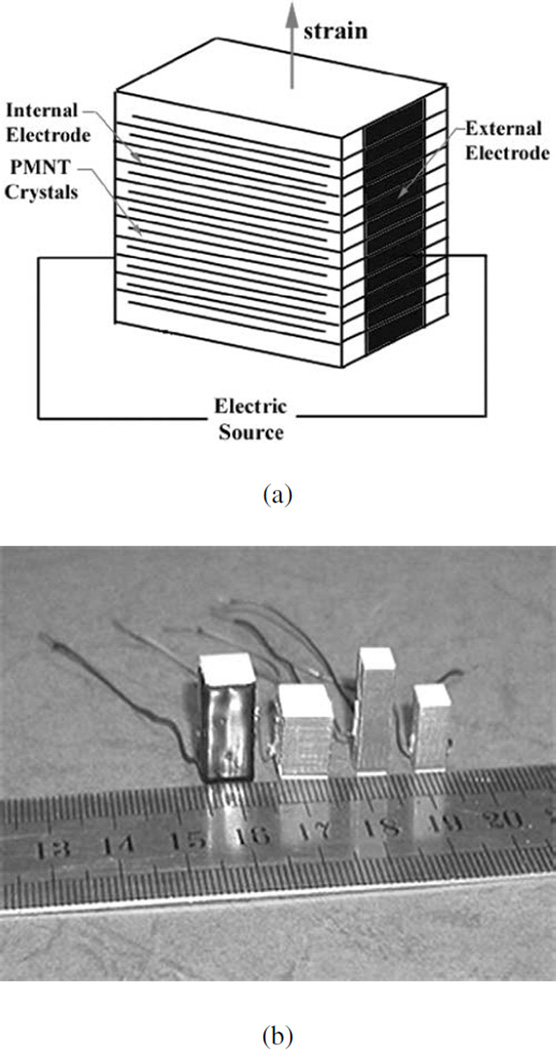 Fig. 47