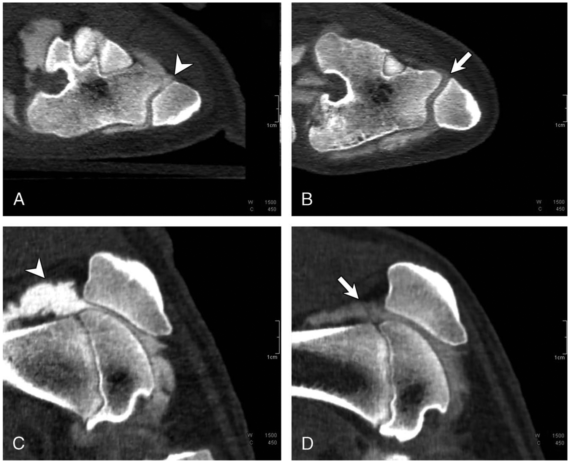 FIGURE 3.