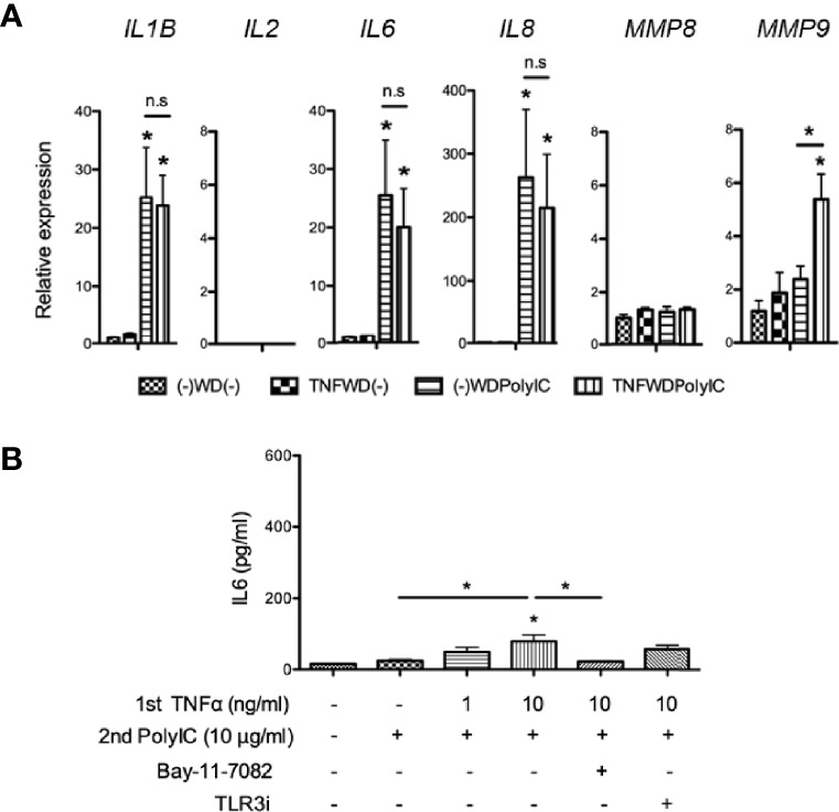 Figure 6