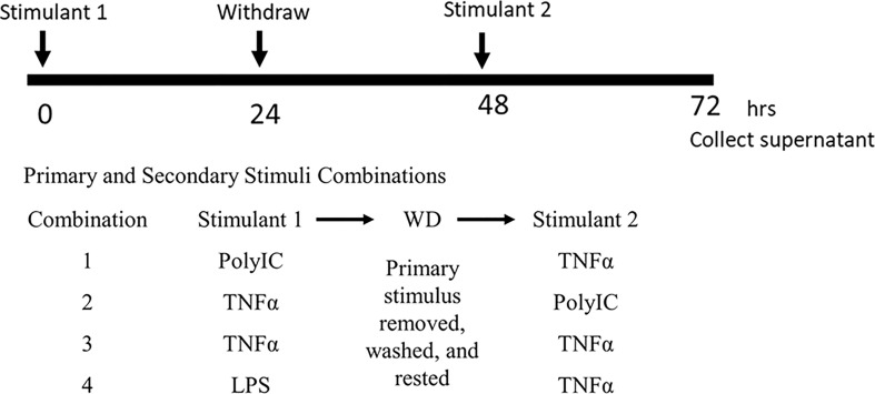 Figure 1