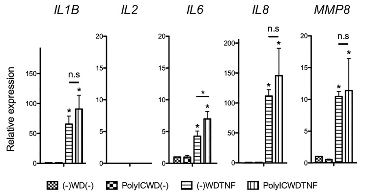 Figure 2