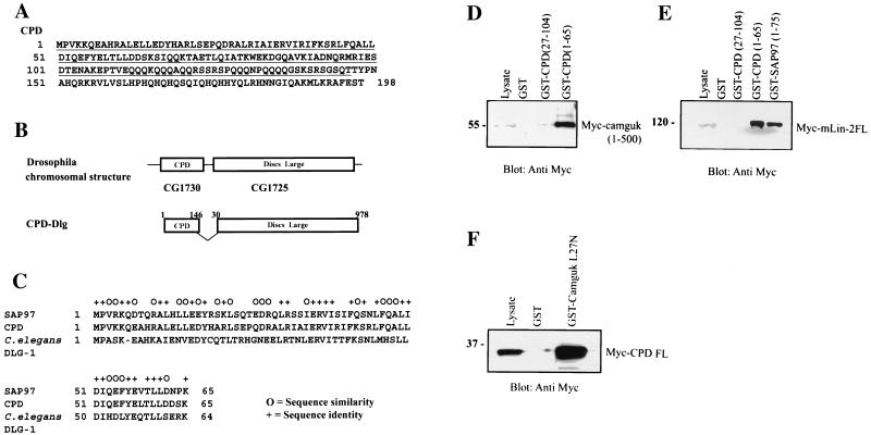 FIG. 9.