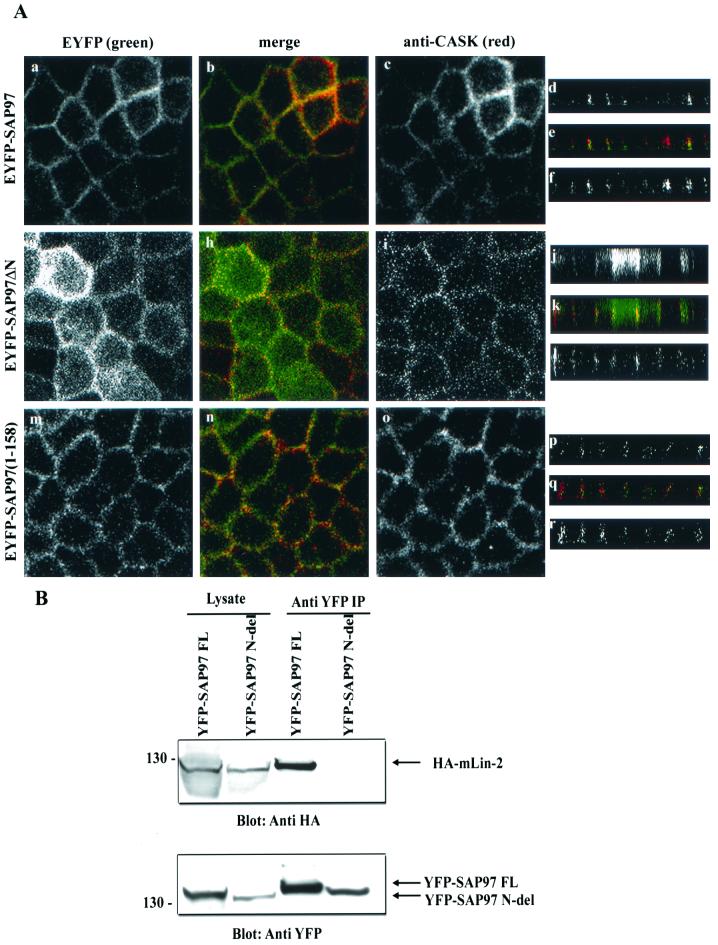 FIG. 7.