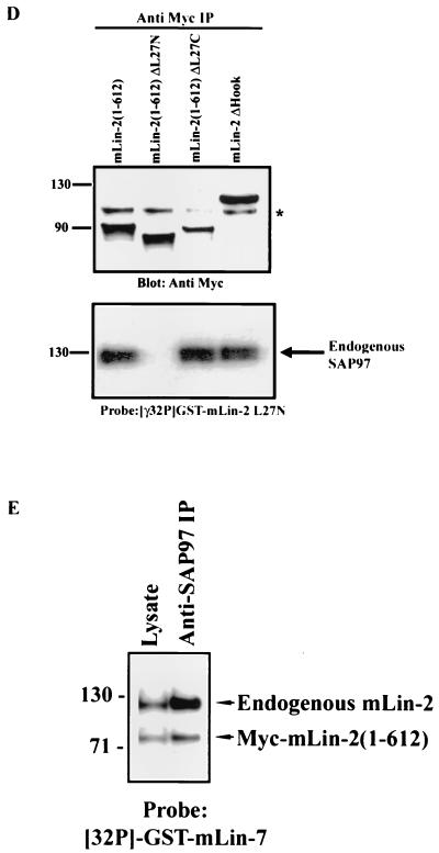 FIG. 8.