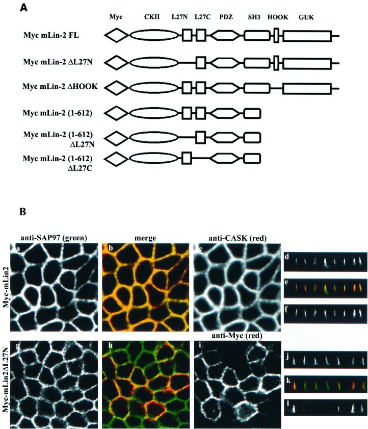 FIG. 8.