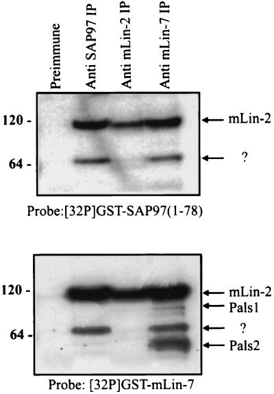 FIG. 6.