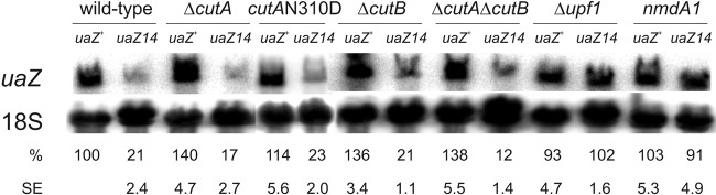 Fig 4