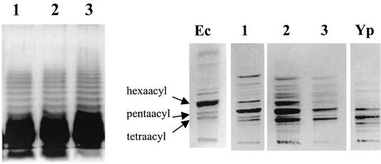 FIG. 5.