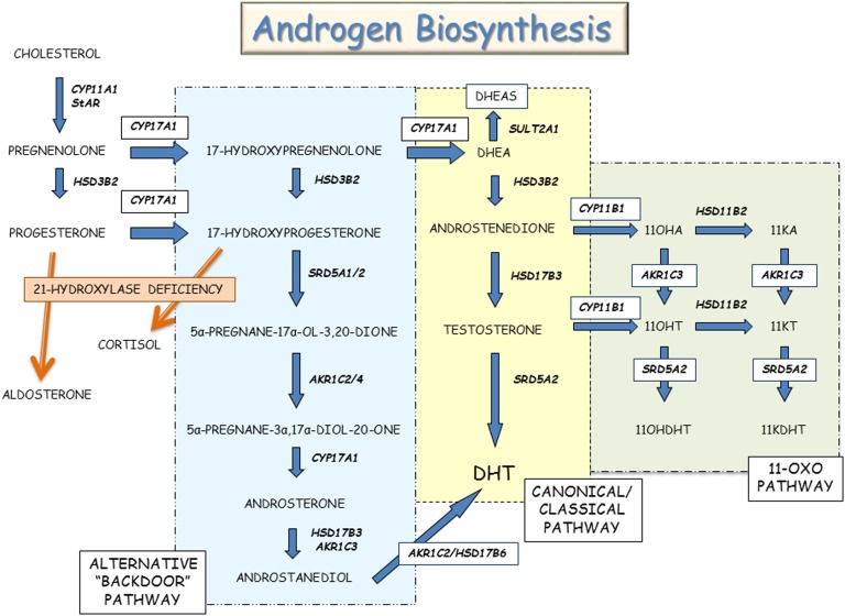 Figure 3.