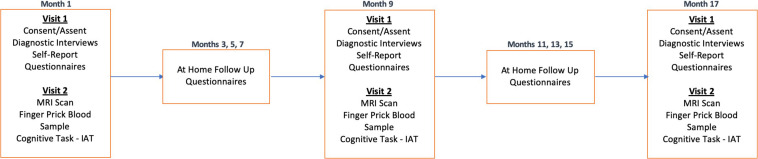 FIGURE 3