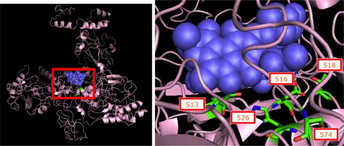 Fig 1