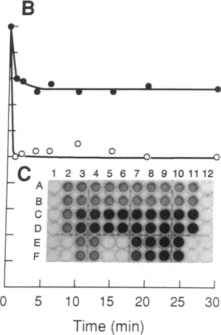 graphic file with name pnas01058-0027-c.jpg