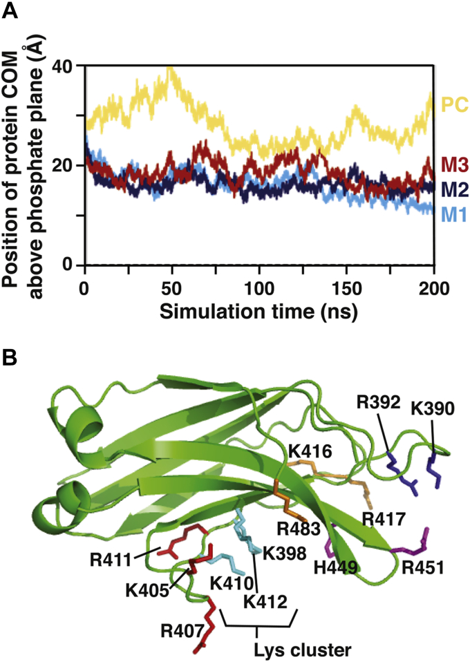 Figure 5