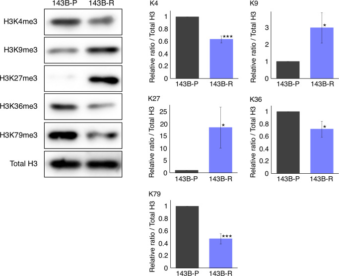 Figure 5